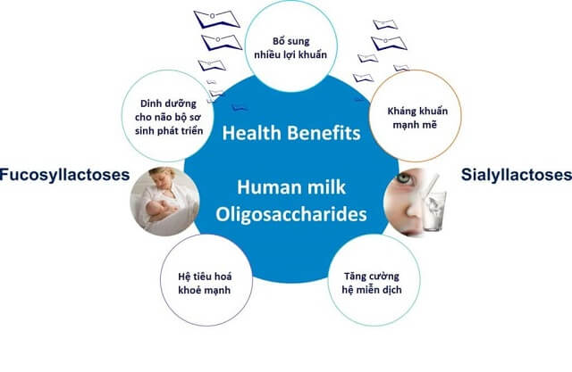 2 fl hmo là gì, sữa nào có hmo, hmo là gì, sữa có hmo, sữa hmo , hmo trong sữa mẹ, sữa có chứa hmo, công thức hmo, tăng đề kháng cho trẻ sơ sinh, tăng sức đề kháng cho trẻ bú mẹ